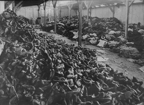 AUSCHWITZ-Birkenau Extermination Camp (