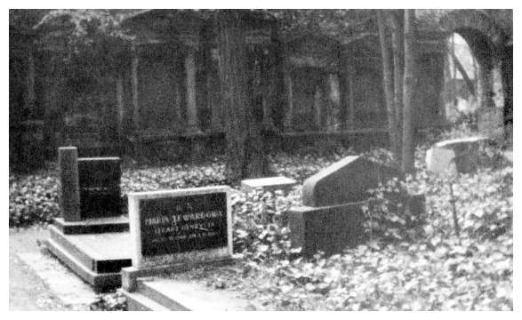 kat054.jpg The Jewish cemetery in Katowice,  Kozielska Street  [35 KB]