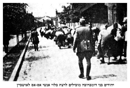 Dabrowa Jews being lead to their death in Auschwitz accompanied by SS men
 - dab339.jpg [37 KB]