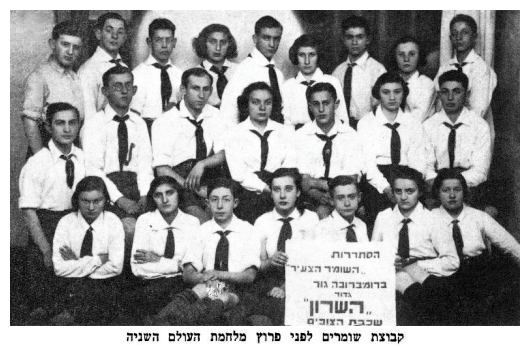 A group of Shomrim before the outbreak of WW2 - dab344.jpg [44 KB]