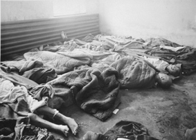 http://www.jewishgen.org/forgottencamps/Images/Auschwitz3.gif
