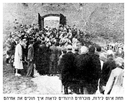 Under threat of being shot, Jews were forced to witness the hanging of their brothers