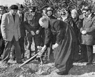 dro482.jpg The Siemiatycze Priest plants a tree in the Avenue of the Righteous Among the Nations in Yad Vashem in Jerusalem [53 KB]
