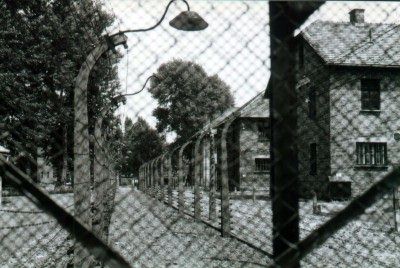 Auschwitz I barracks through barbed wire