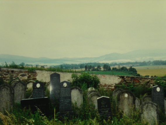 Janovice Jewish Cemetery