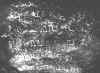 OG10.jpg (61572 bytes)