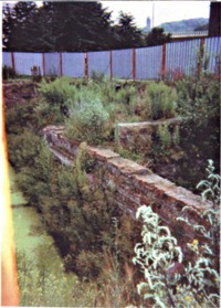 Remains of the Great Synagogue