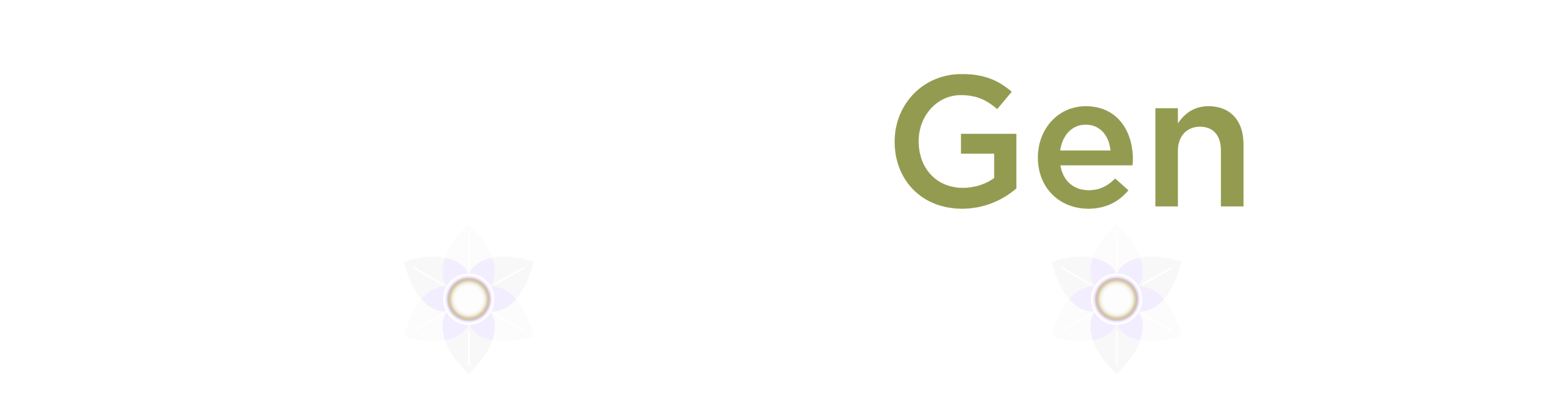 JewishGen Talks
