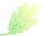 leaf1.jpg (682 bytes)