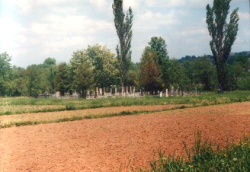 Dinovetz Jewish Cemetery