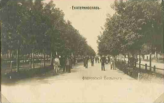 Tree-lined street