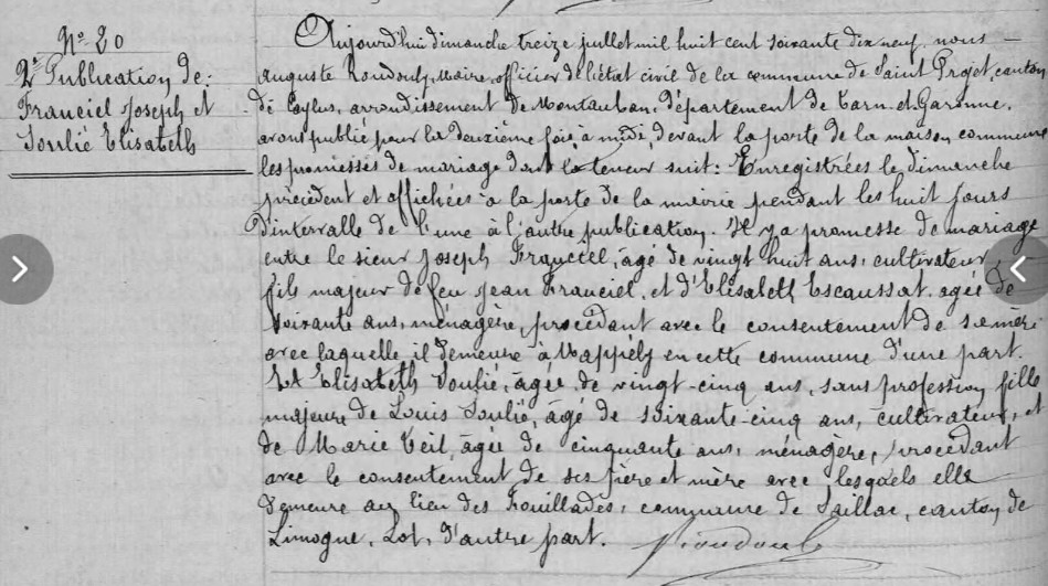 VM115341