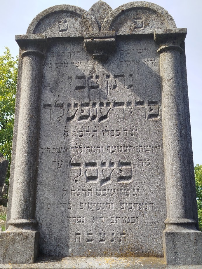VM115565