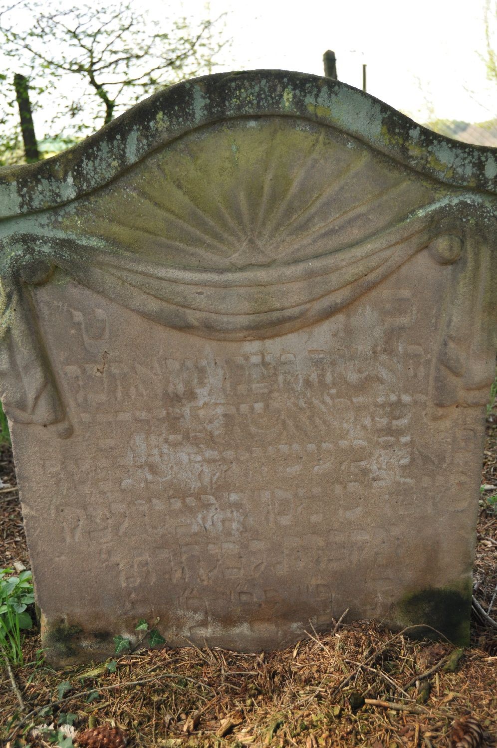 VM115645