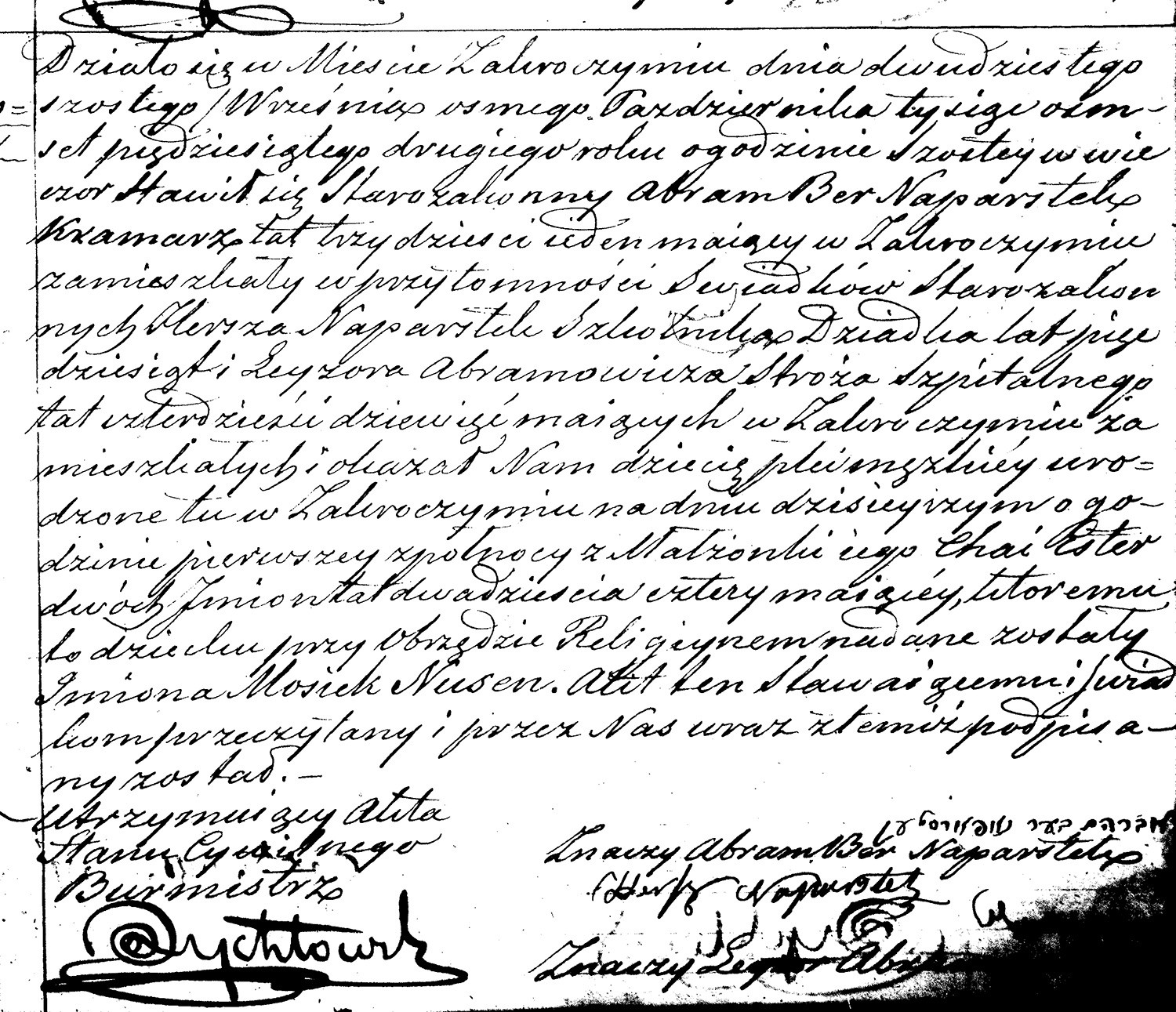 VM36571