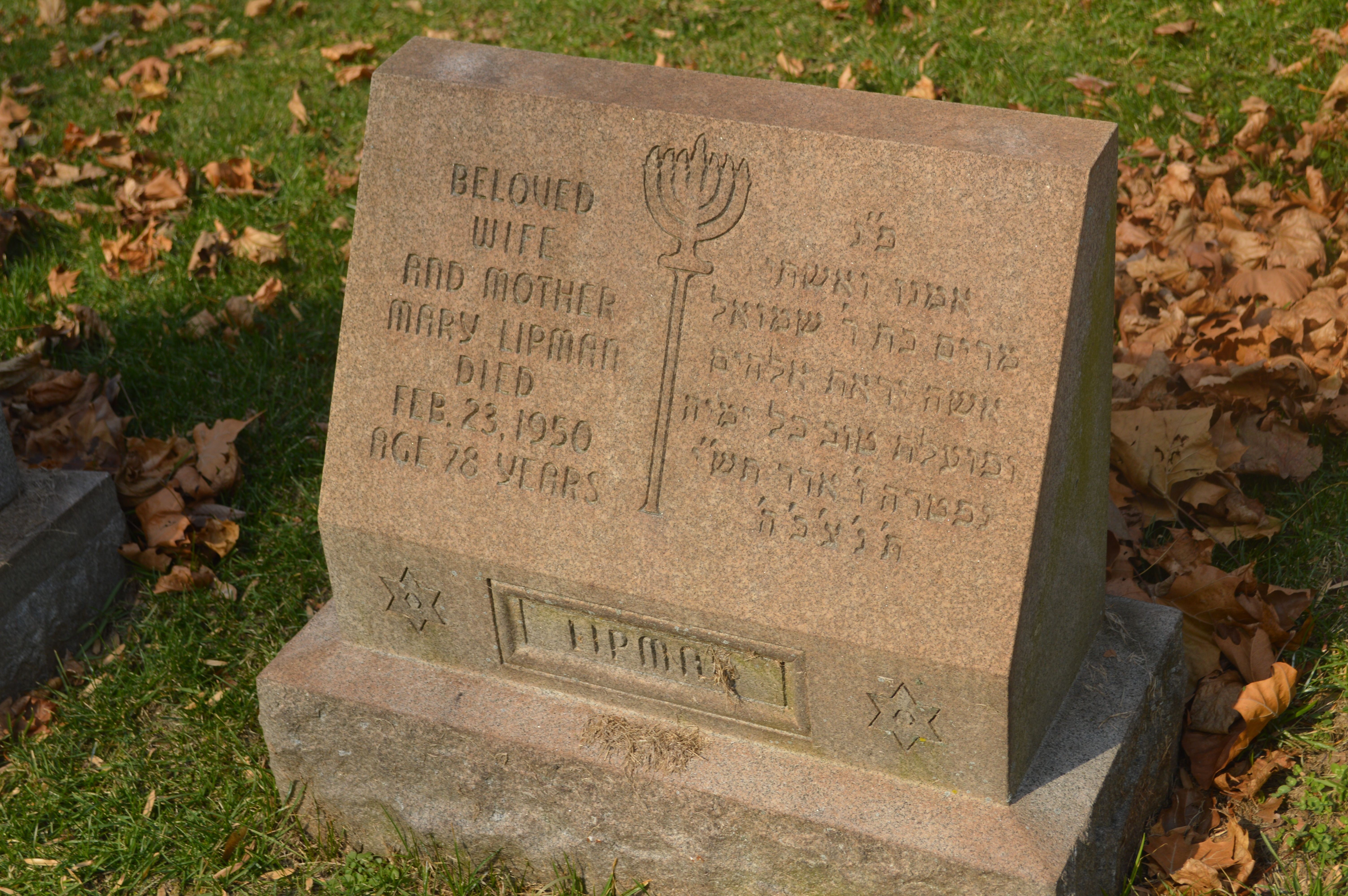 VM110742
