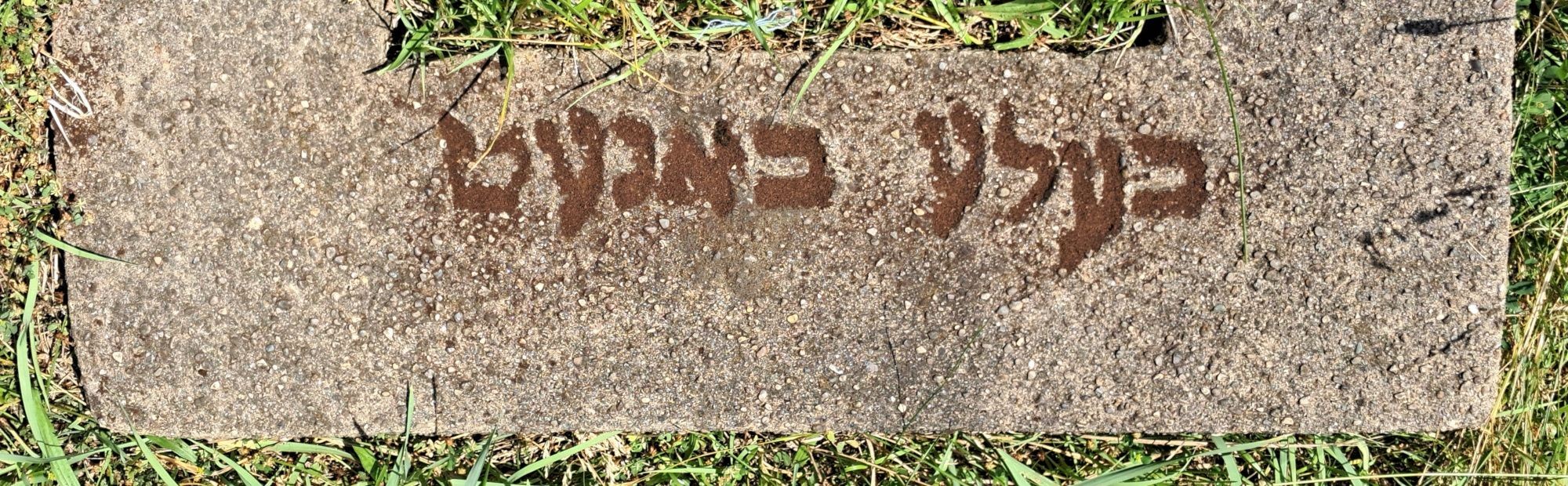 VM111271