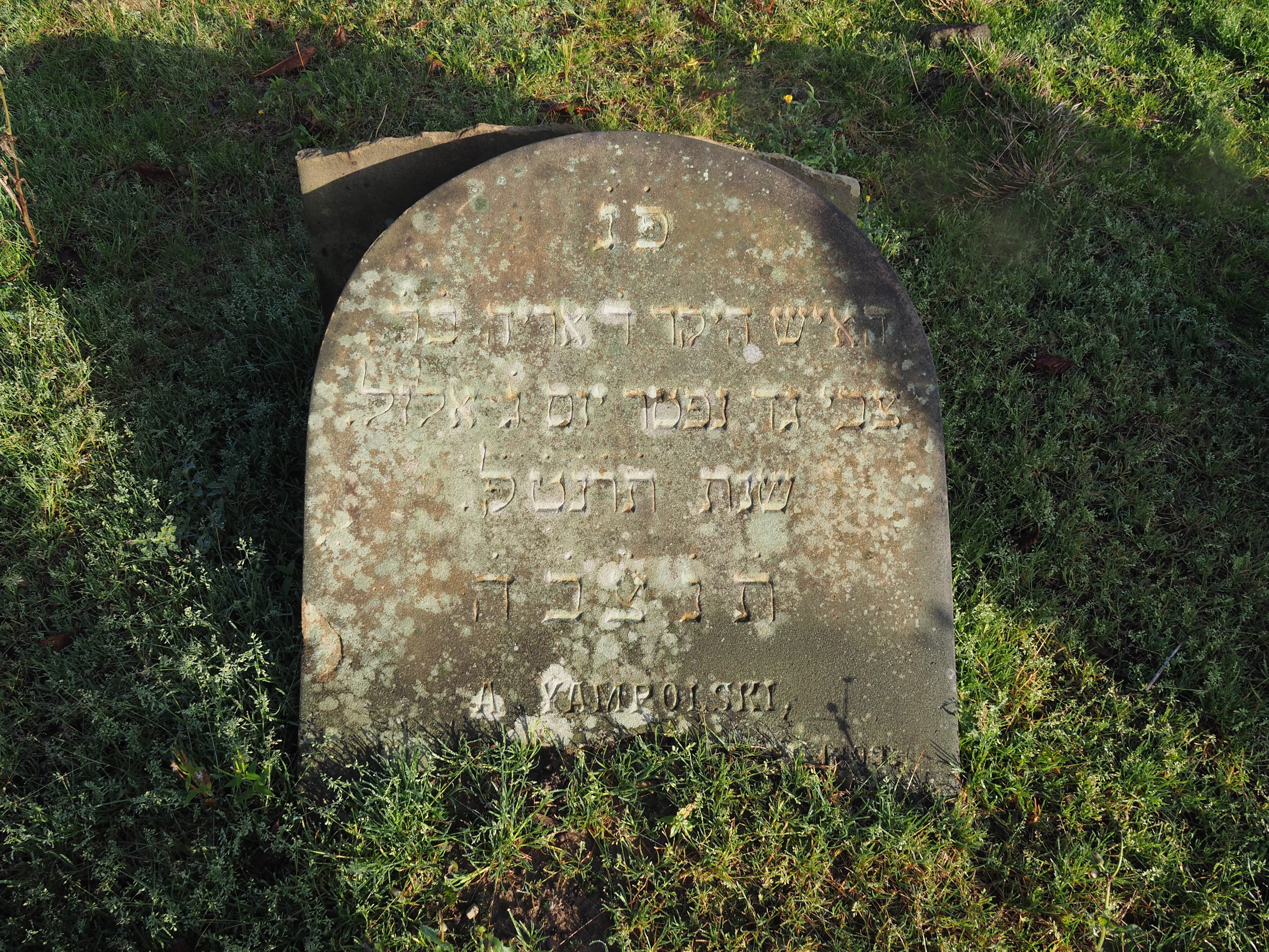 VM111399