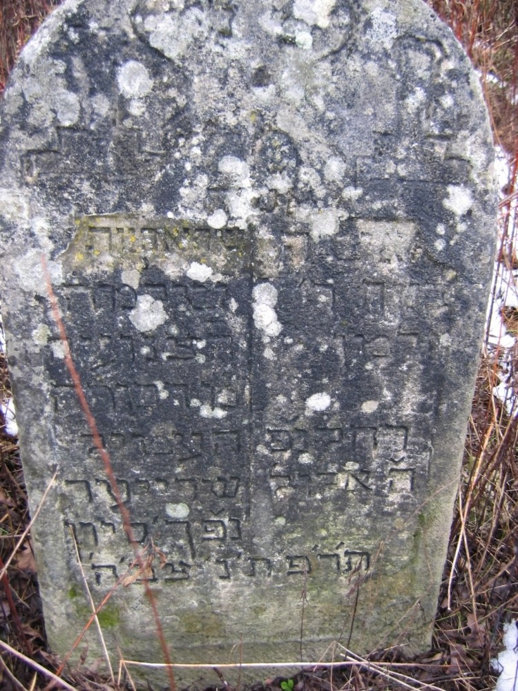 VM111591