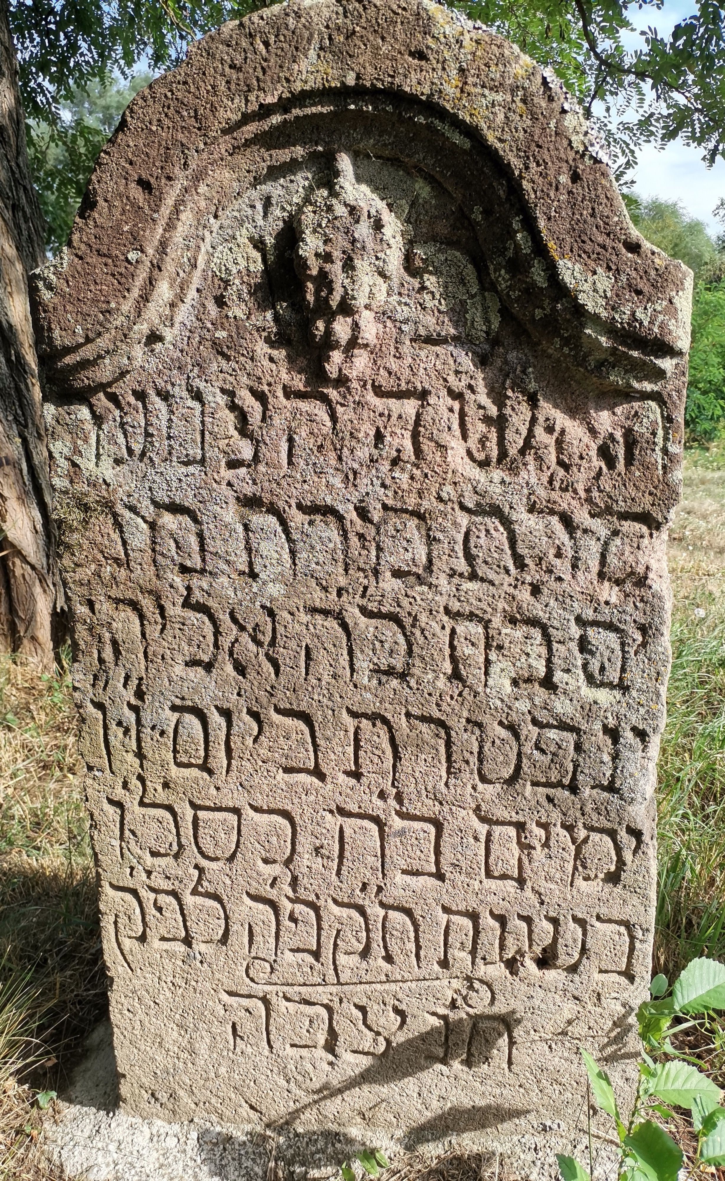 VM111648