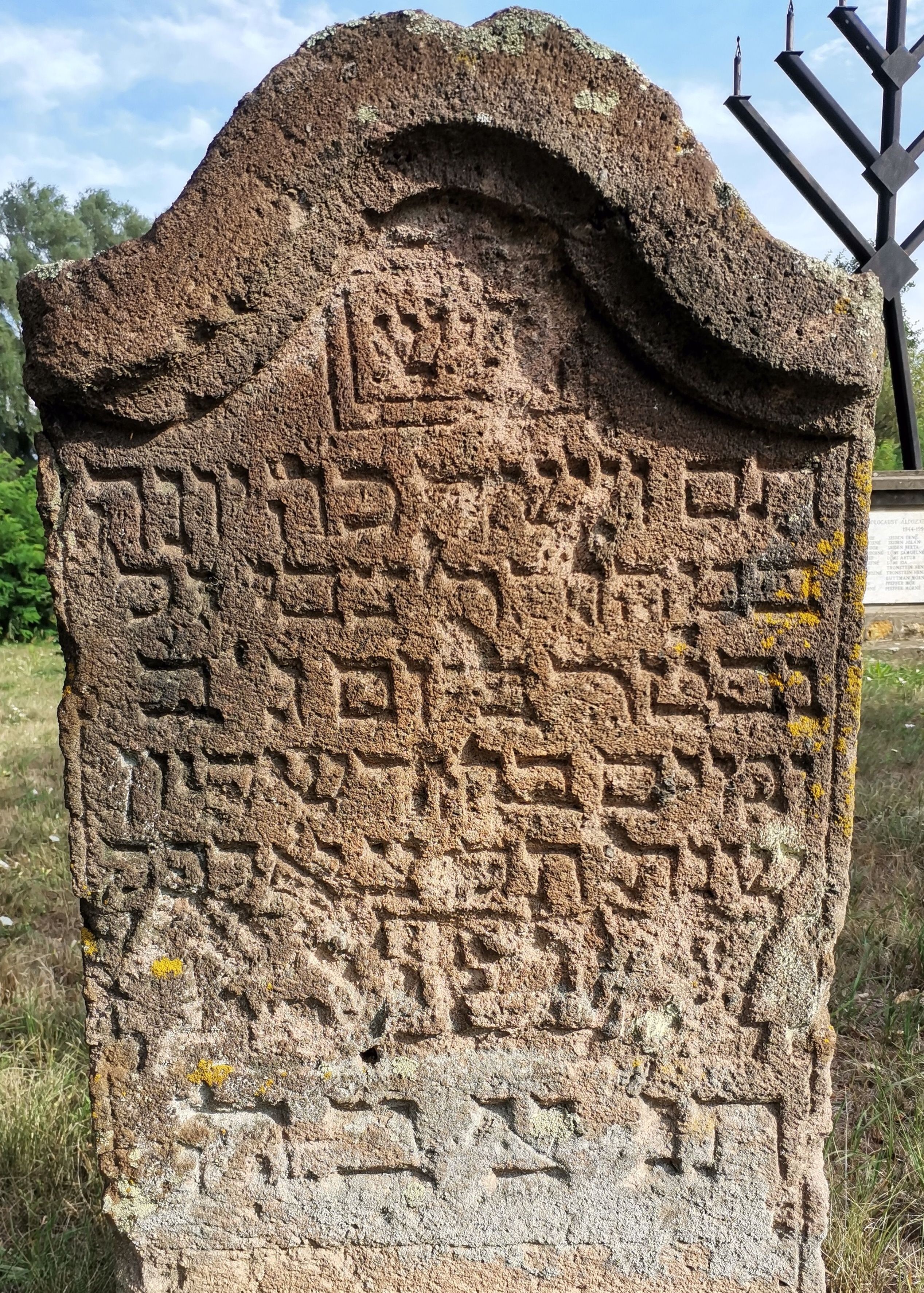 VM111651