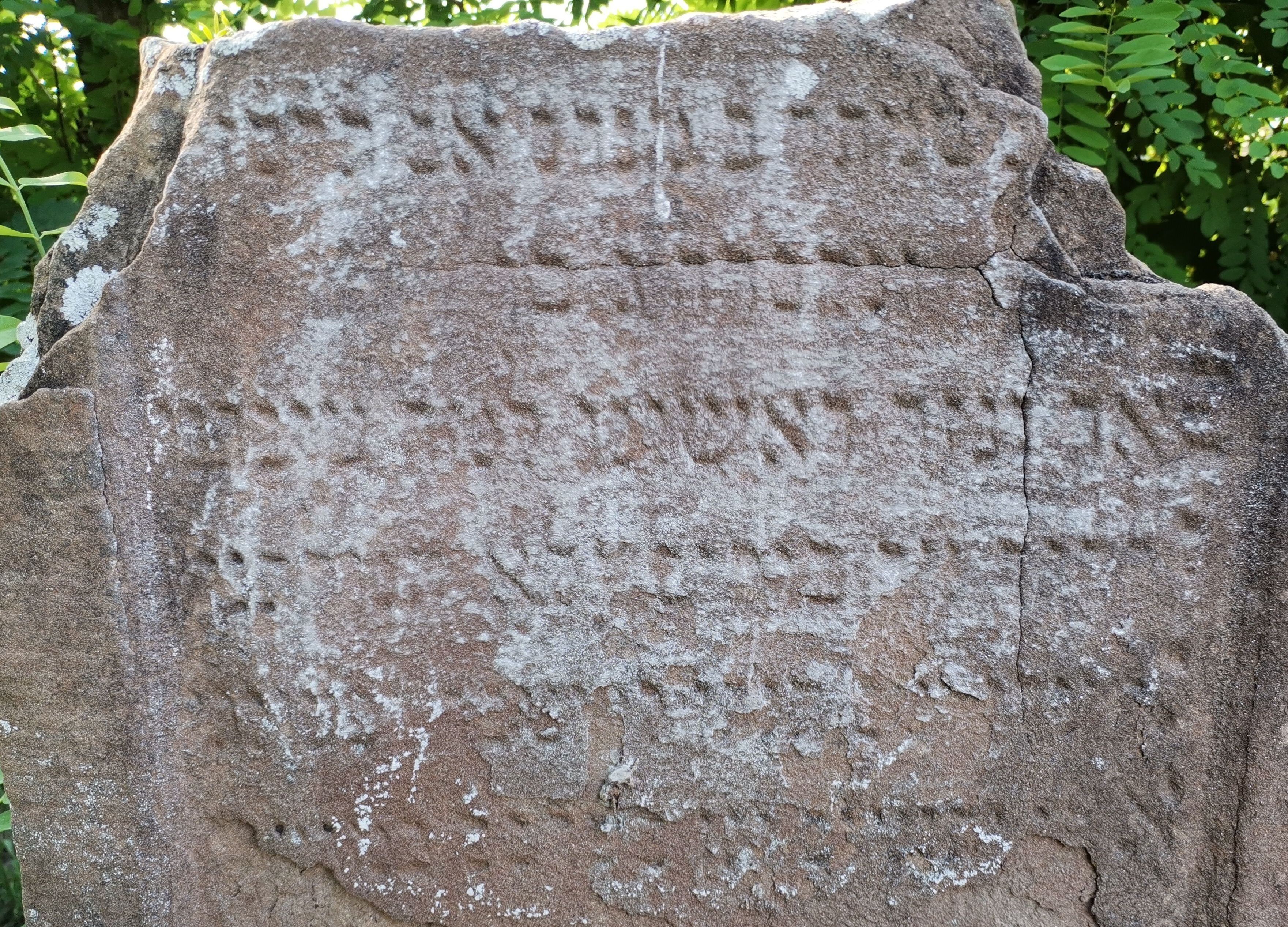 VM111667