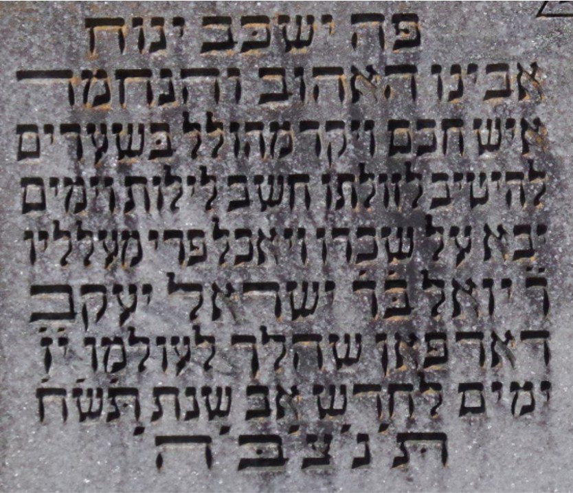 VM111669