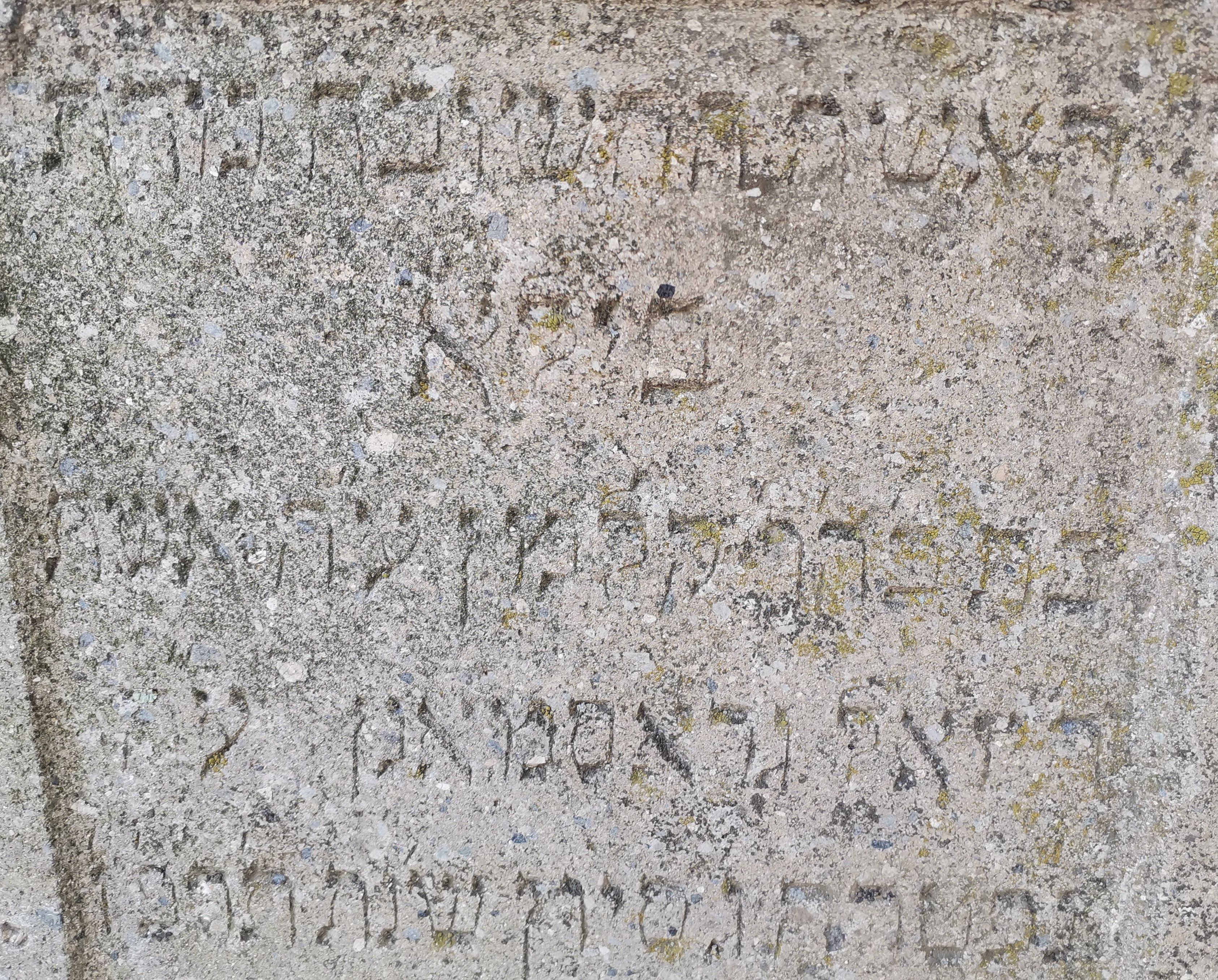 VM112169