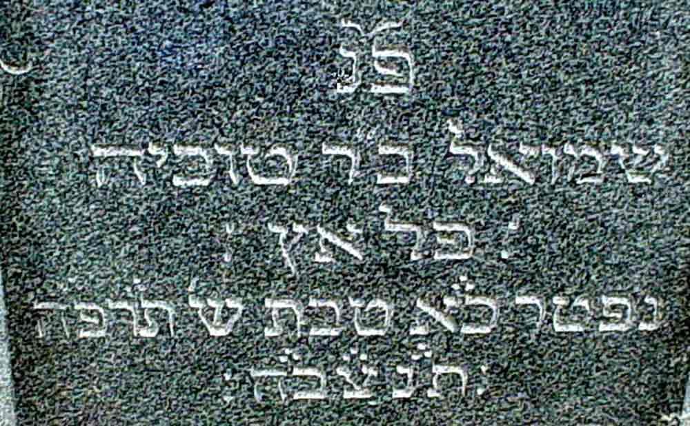 VM304