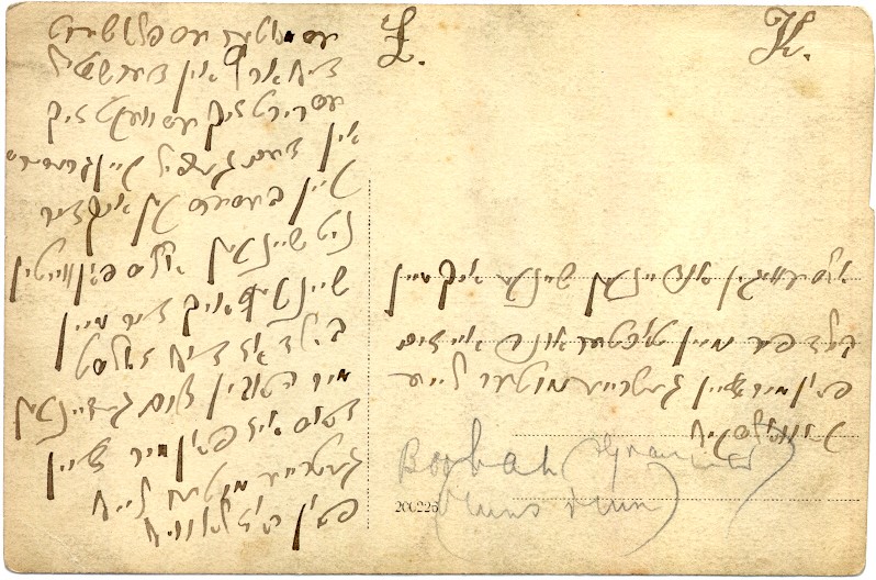 VM447