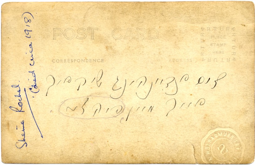 VM449