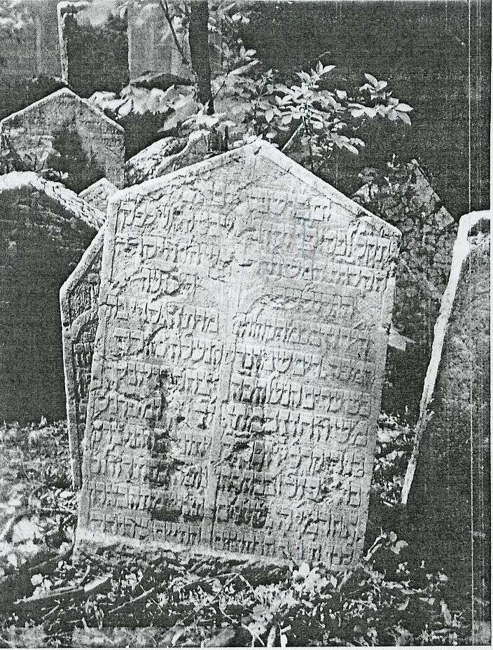 VM519