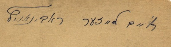 VM557