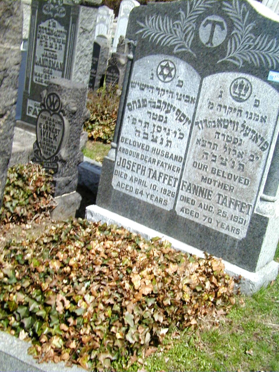 VM675