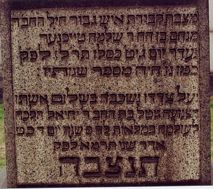 VM839