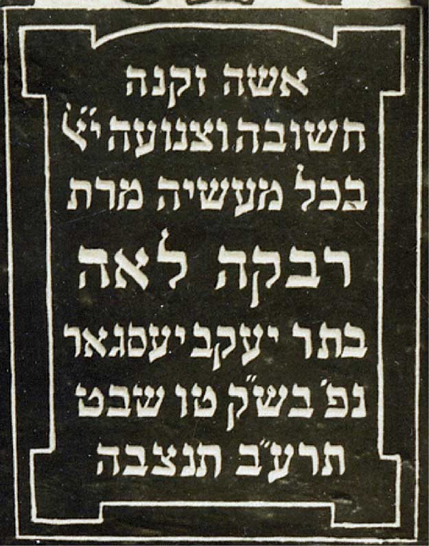 VM894