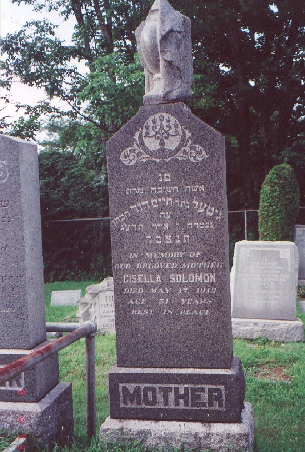 VM1047