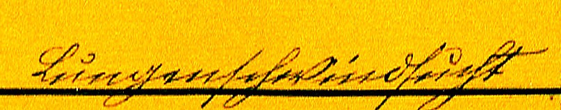 VM1056