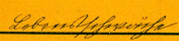 VM1073