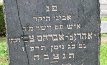VM1135