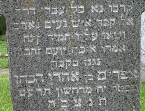VM1136