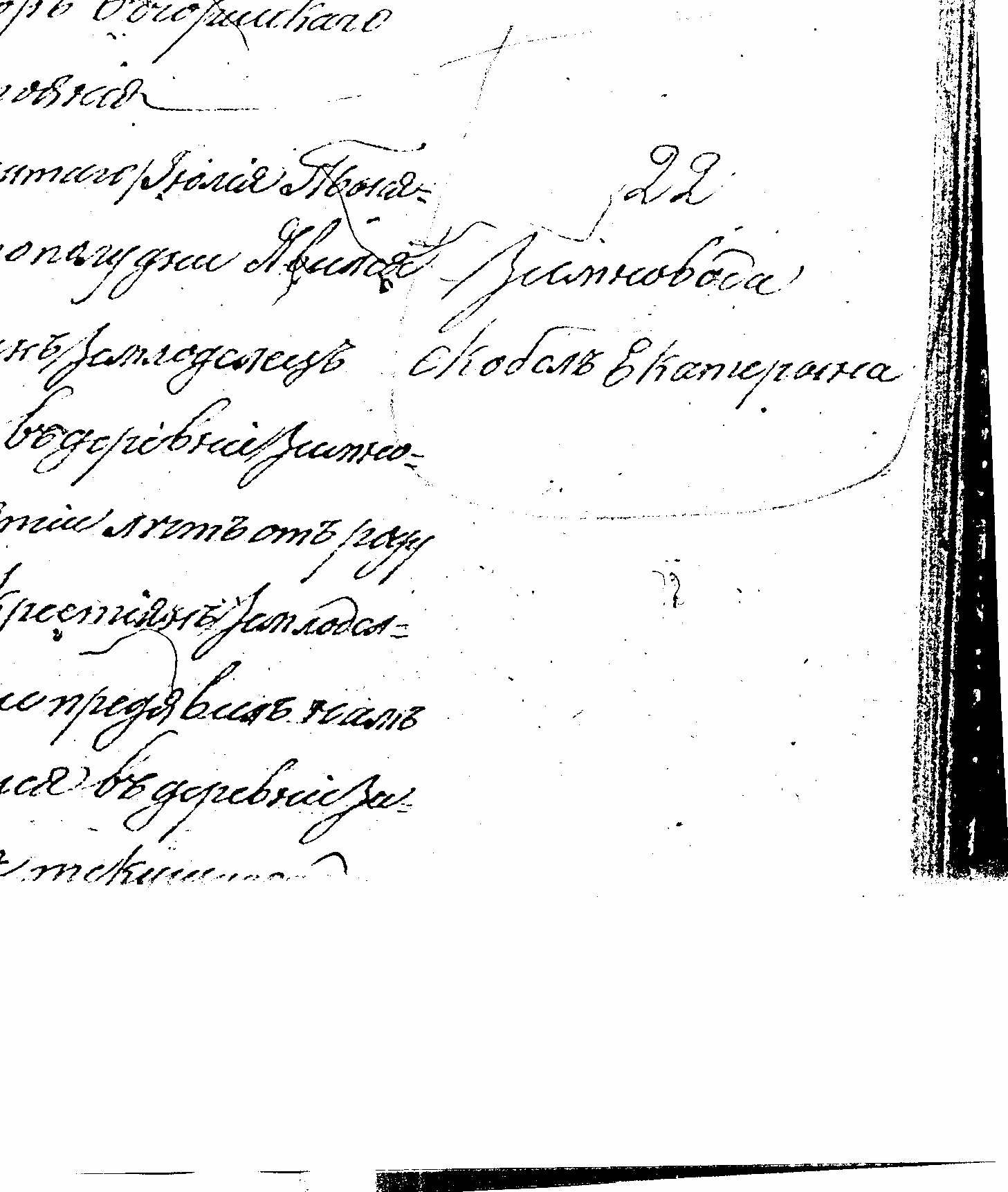VM1213