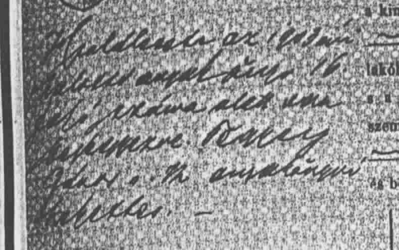 VM363