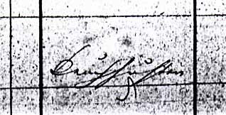 VM1259