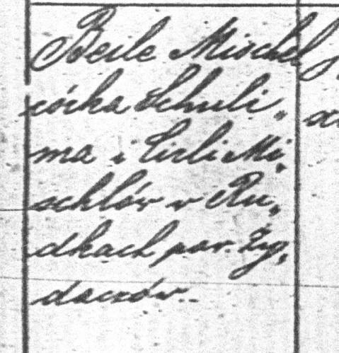 VM1319