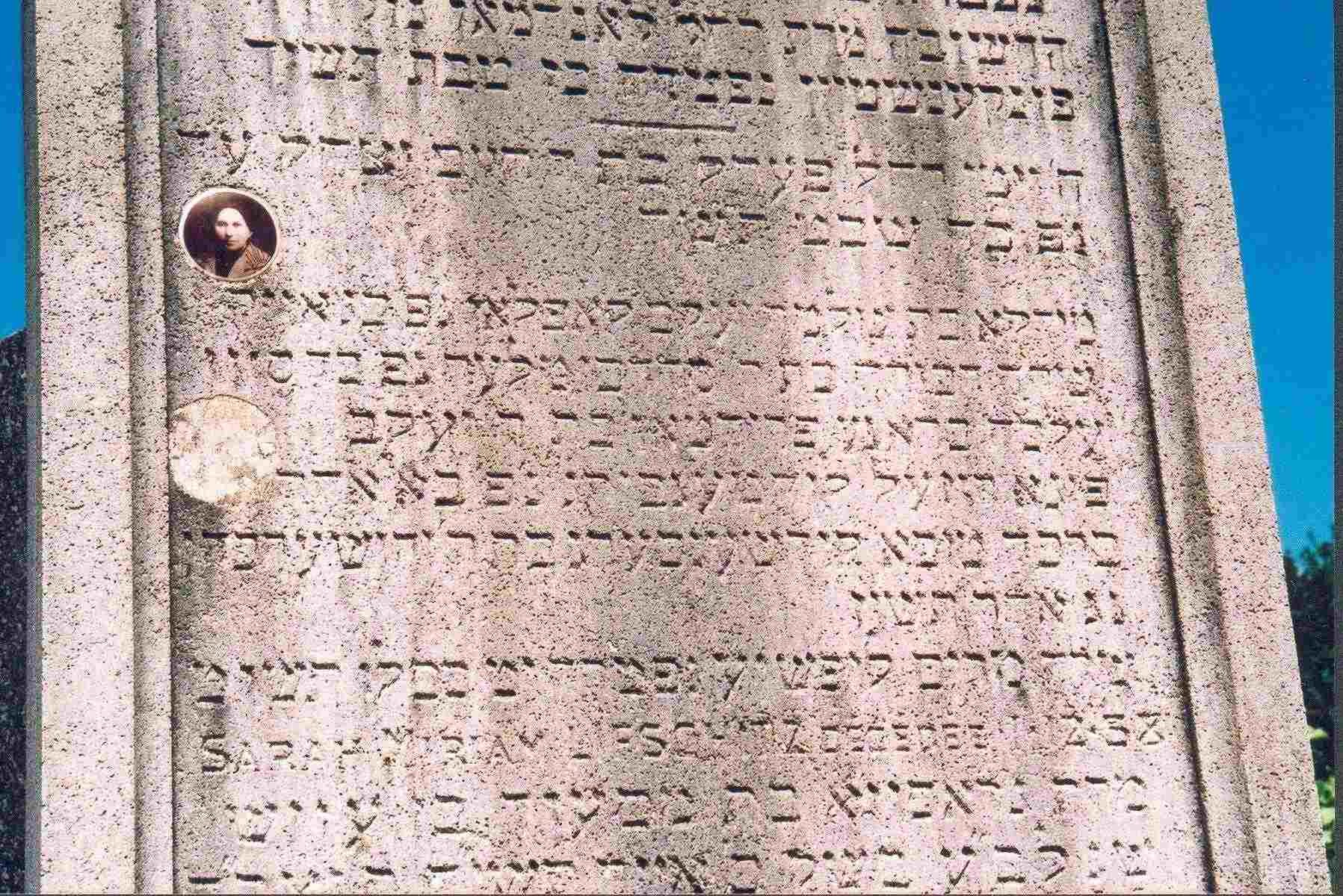 VM1513