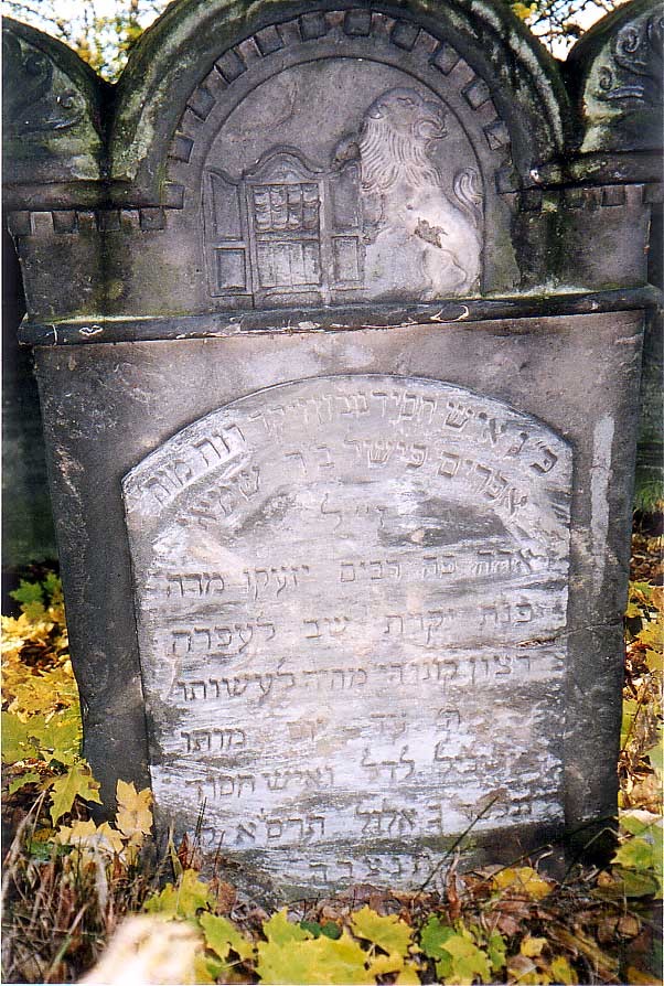 VM1543