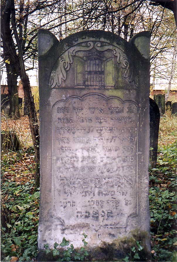 VM1544