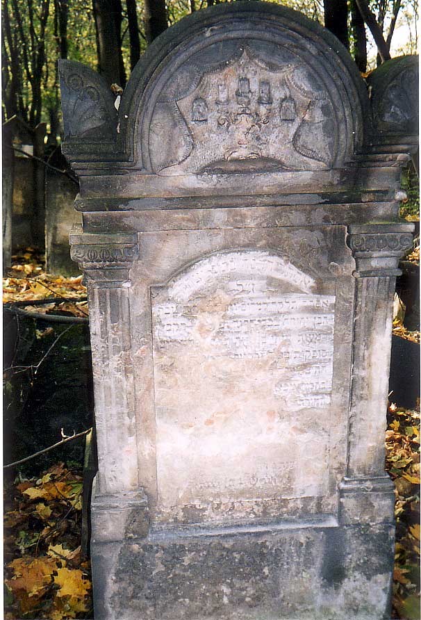 VM1545