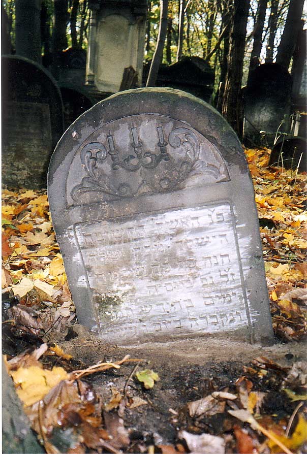 VM1546